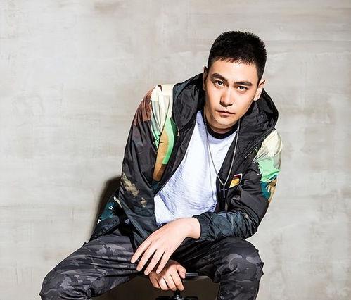 李飞明星,星光璀璨的演艺之路