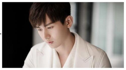 娱乐圈吃瓜成毅是谁,娱乐圈新晋小生成毅，究竟是谁？