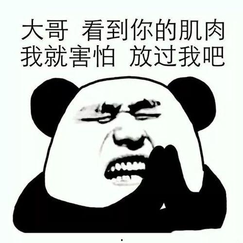 男人被强表情包,一场网络文化的狂欢与反思